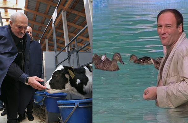 Что роднит сюжеты пропаганды о Лукашенко и телятах с криминальным сериалом «Сопрано»